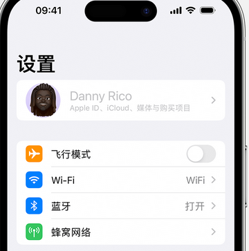 南部appleID维修服务iPhone设置中Apple ID显示为灰色无法使用 