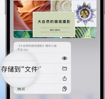 南部apple维修中心分享iPhone文件应用中存储和找到下载文件