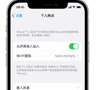 南部apple服务站点分享iPhone上个人热点丢失了怎么办 