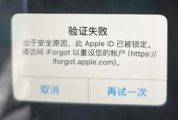 南部iPhone维修分享iPhone上正常登录或使用AppleID怎么办 