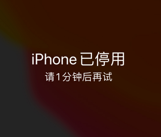 南部苹果手机维修分享:iPhone 显示“不可用”或“已停用”怎么办？还能保留数据吗？ 