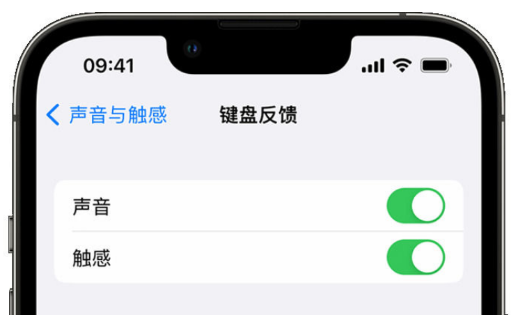 南部苹果手机维修分享iPhone 14触感键盘使用方法 