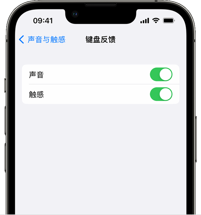 南部苹果14维修店分享如何在 iPhone 14 机型中使用触感键盘 