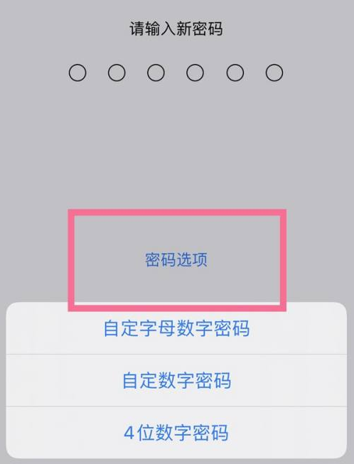 南部苹果14维修分享iPhone 14plus设置密码的方法 