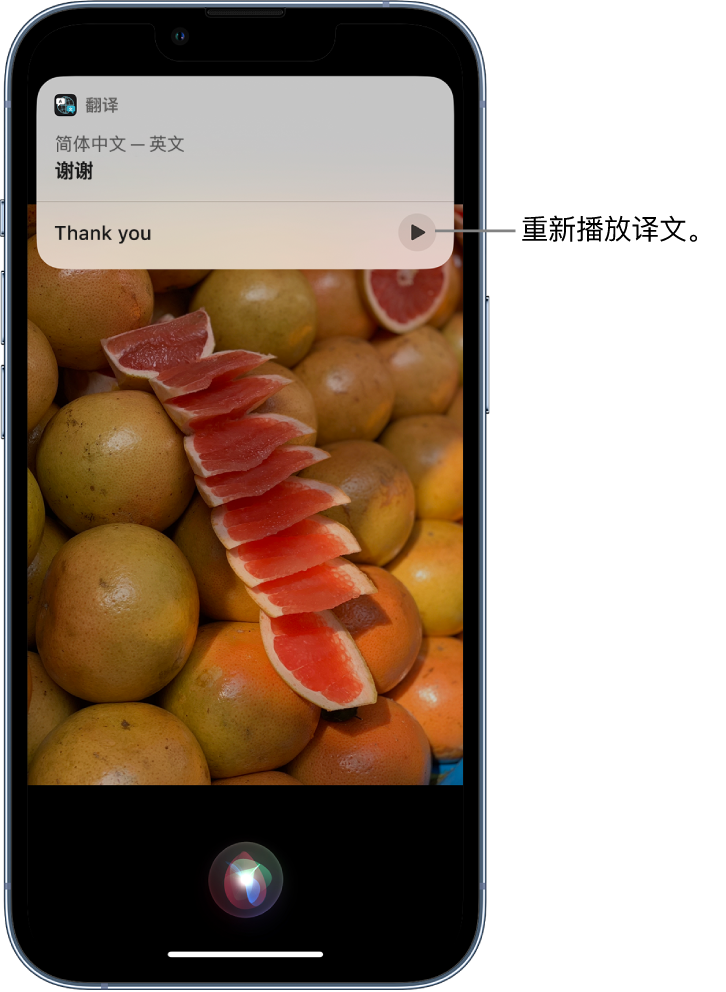 南部苹果14维修分享 iPhone 14 机型中使用 Siri：了解 Siri 能帮你做什么 