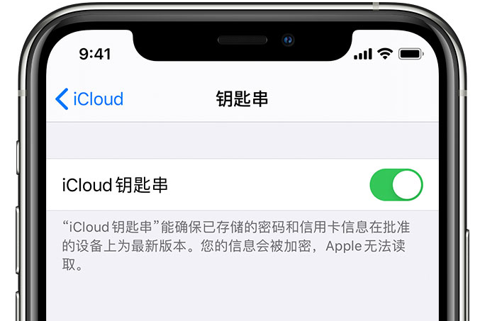 南部苹果手机维修分享在 iPhone 上开启 iCloud 钥匙串之后会储存哪些信息 