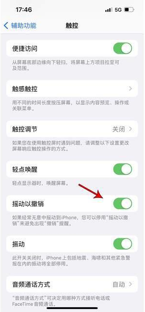 南部苹果手机维修分享iPhone手机如何设置摇一摇删除文字 