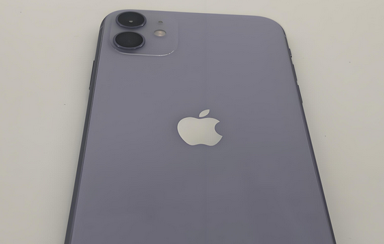 南部苹果11系统维修分享iPhone11手机系统崩溃无法开机如何解决 